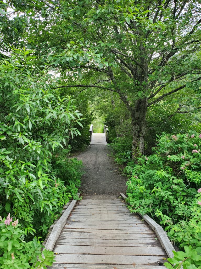 What Going The Extra Mile Means To Me Www yourtimetogrow